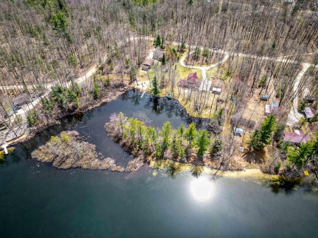 5421 Andrew St, Harrison, MI 48625 - aerial view of property's location with a large body of water