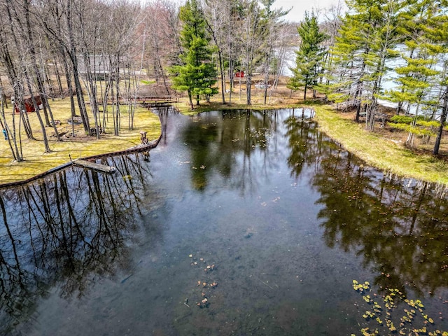 5421 Andrew St, Harrison, MI 48625 - water view