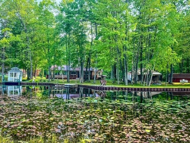 5421 Andrew St, Harrison, MI 48625 - surrounding community featuring a water view
