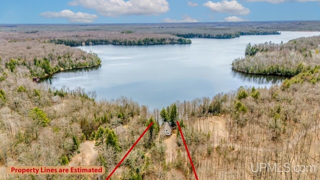drone / aerial view with a water view and a forest view