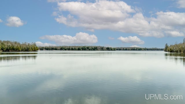 view of water feature