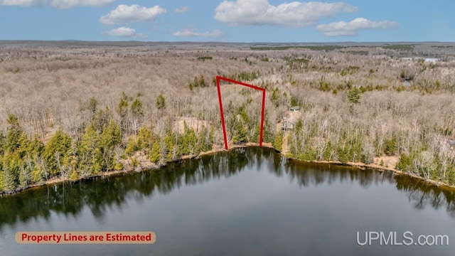 birds eye view of property featuring a view of trees and a water view
