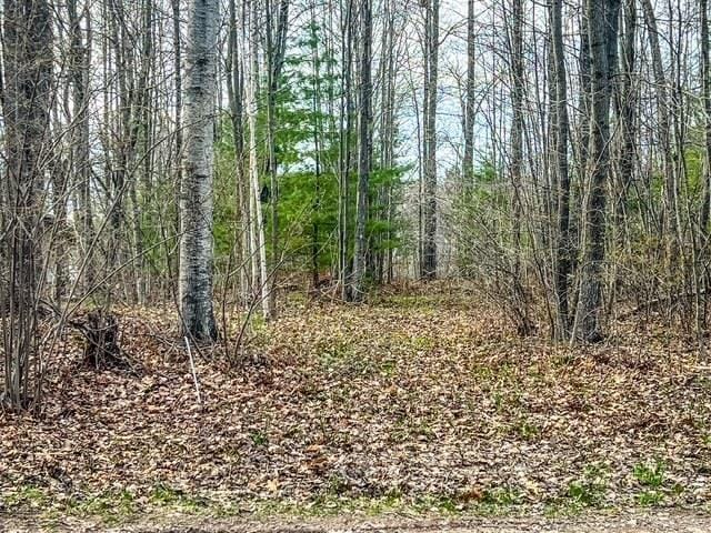 LOT62 Andrew St, Harrison, MI 48625