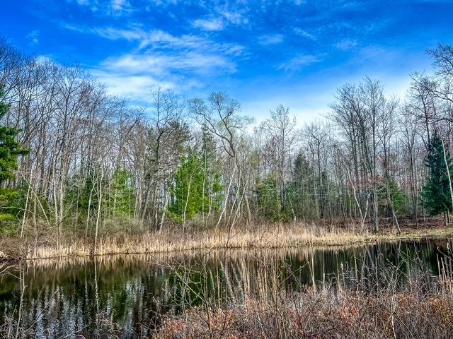 LOT62 Andrew St, Harrison, MI 48625