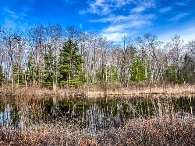 LOT62 Andrew St, Harrison, MI 48625