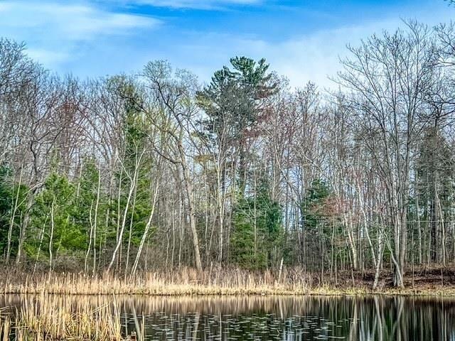 LOT62 Andrew St, Harrison, MI 48625