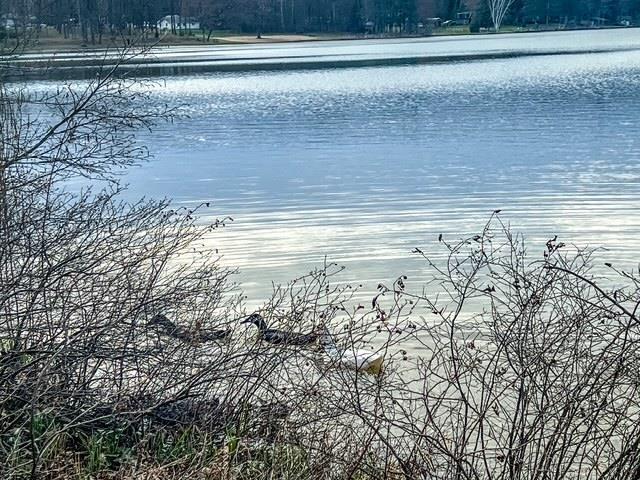 LOT62 Andrew St, Harrison, MI 48625