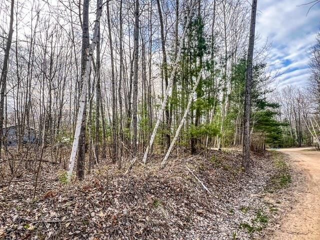 LOT62 Andrew St, Harrison, MI 48625