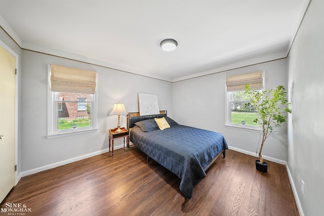 bedroom featuring baseboards, wood finished floors, and multiple windows