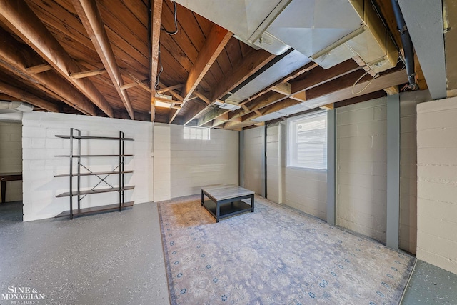 basement with concrete block wall