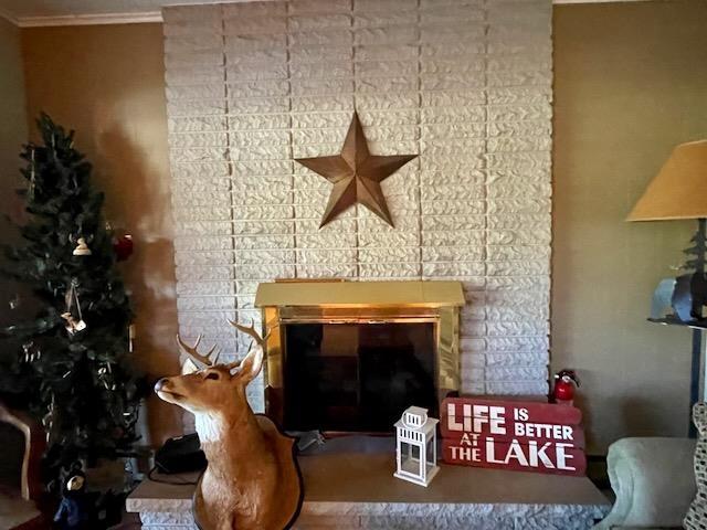 room details with crown molding and a glass covered fireplace