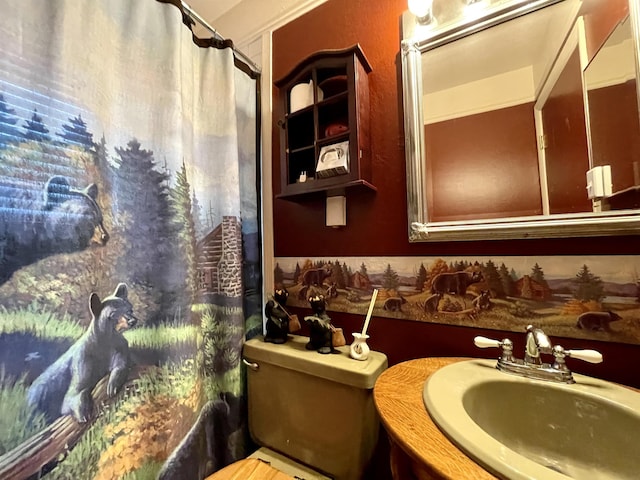 full bath featuring a sink, toilet, and curtained shower