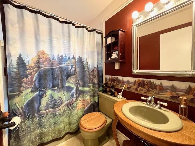 full bath with toilet, a shower with curtain, and vanity