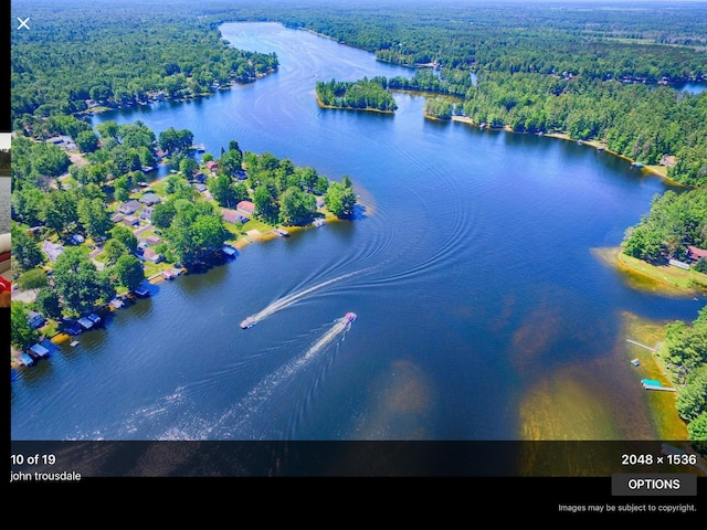 drone / aerial view with a view of trees and a water view