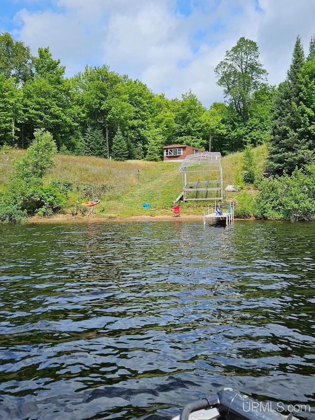 dock area with a water view