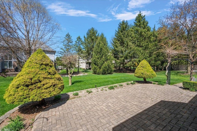 15113 Totten Pl, Shelby Twp, MI 48315 - view of patio / terrace