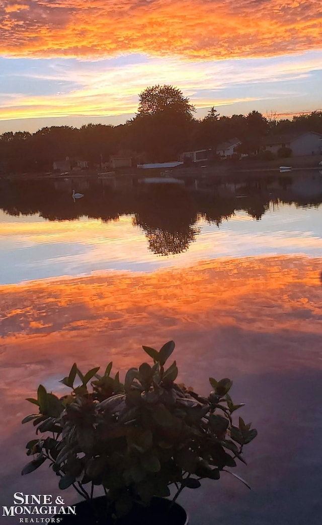 property view of water