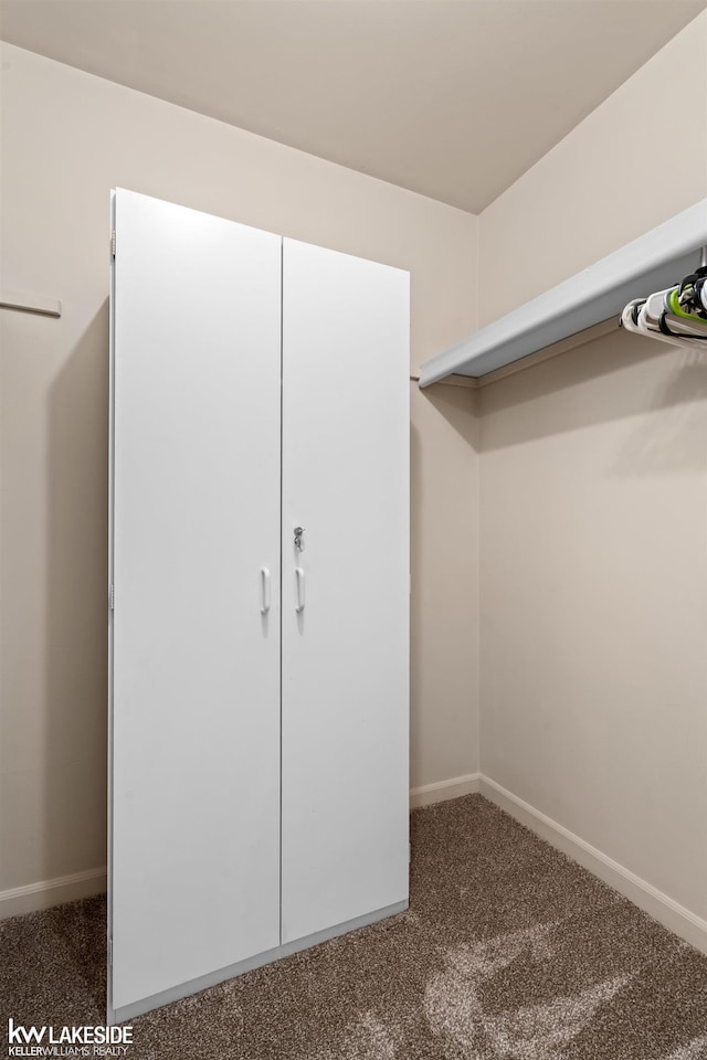 spacious closet with carpet