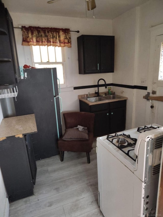 kitchen with light wood-style floors, a sink, freestanding refrigerator, dark cabinets, and white range with gas stovetop