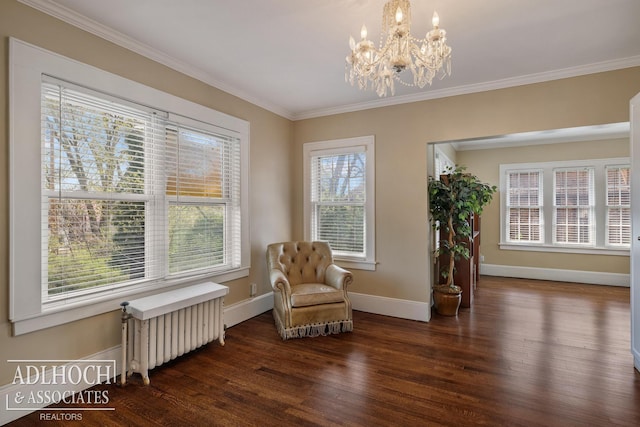 living area with crown molding, baseboards, a notable chandelier, radiator, and dark wood-type flooring
