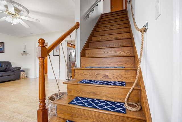 stairway featuring ceiling fan and wood finished floors