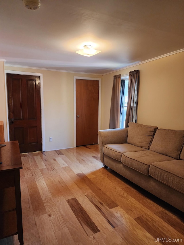 living room featuring ornamental molding and light wood-type flooring