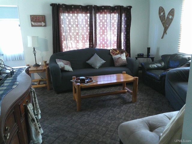 living area featuring carpet