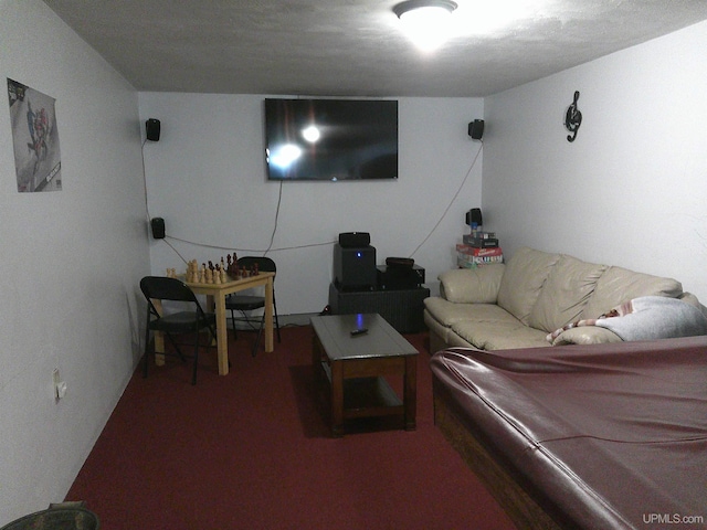 view of carpeted living area