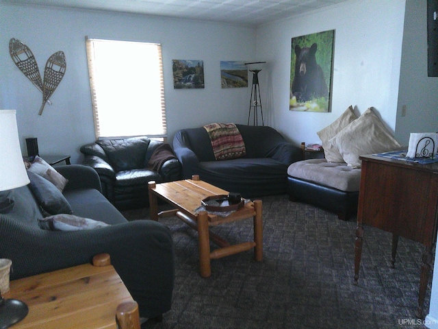 view of carpeted living area