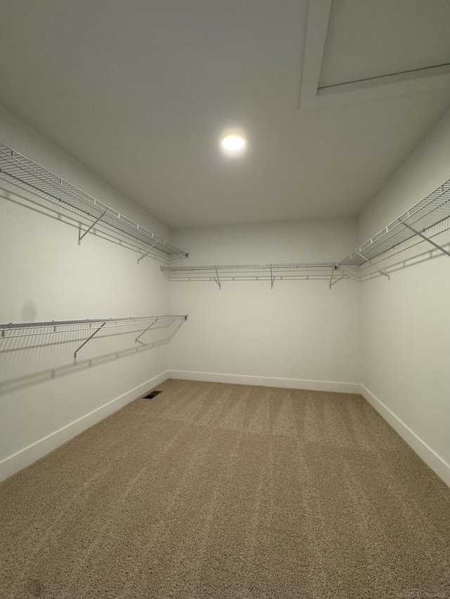spacious closet featuring light carpet