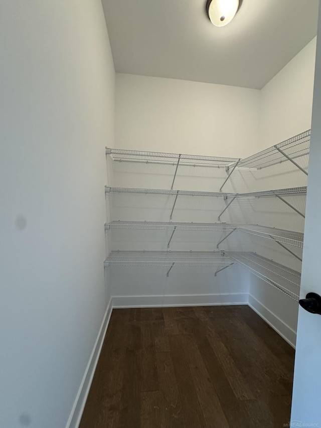 spacious closet featuring dark wood-style flooring