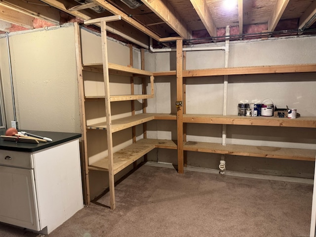 view of storage room