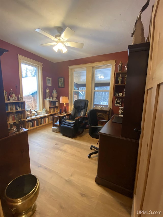 office space featuring ceiling fan and light wood finished floors