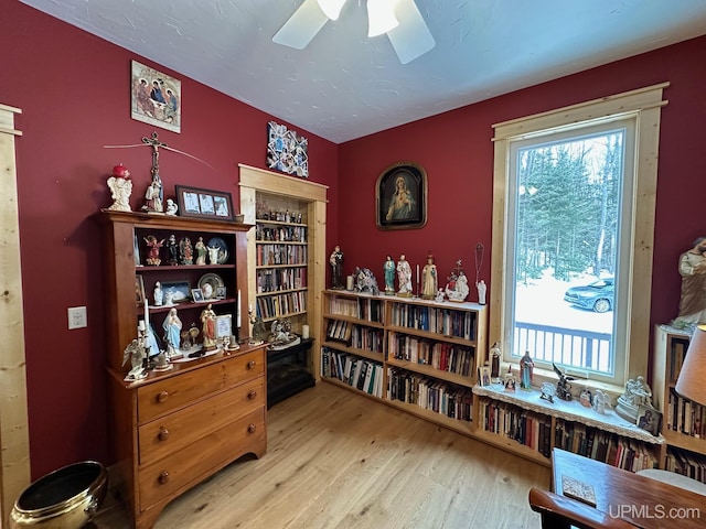 living area with ceiling fan, a healthy amount of sunlight, and wood finished floors