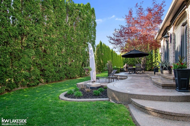 view of yard featuring a patio area