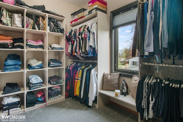 spacious closet featuring carpet