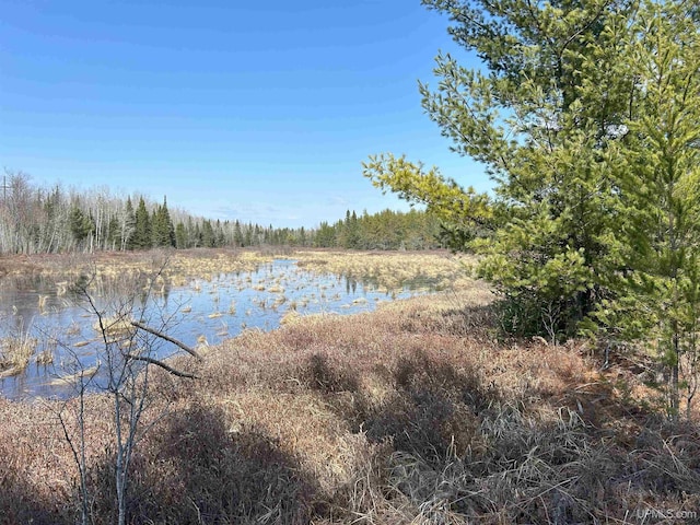 water view with a forest view