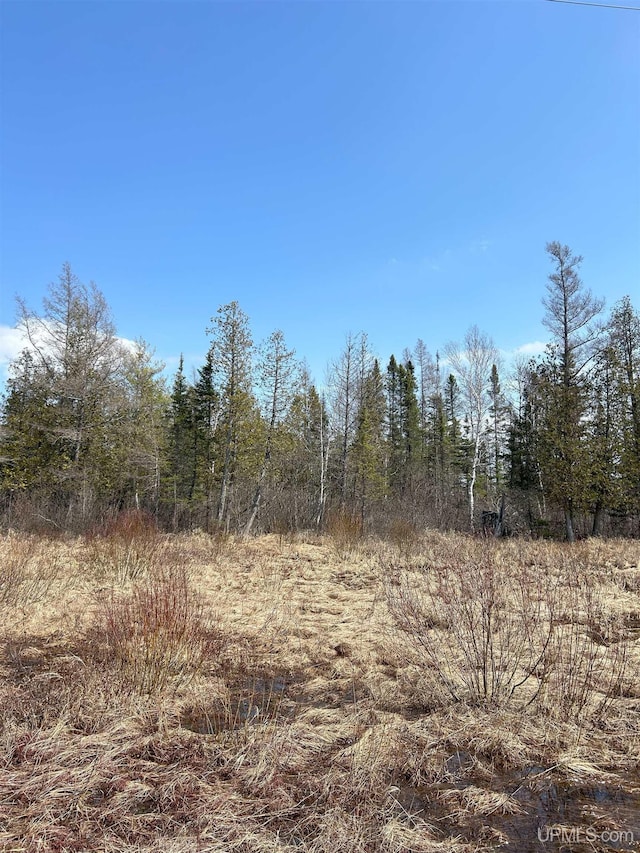 view of local wilderness