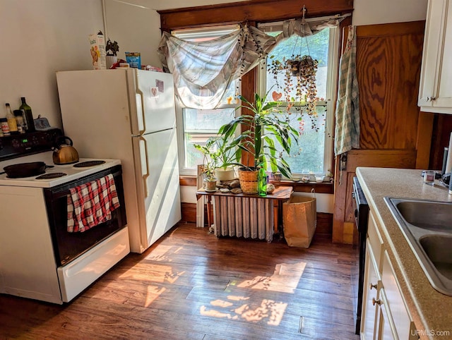 kitchen featuring white cabinets, a sink, electric range oven, radiator heating unit, and wood finished floors