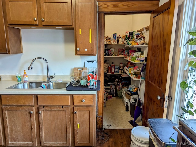 kitchen featuring brown cabinets, a sink, dark wood-type flooring, and light countertops