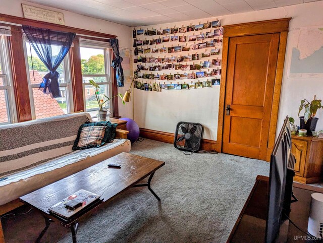 view of carpeted living area
