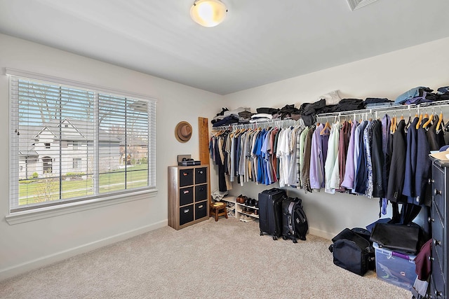 walk in closet featuring carpet flooring