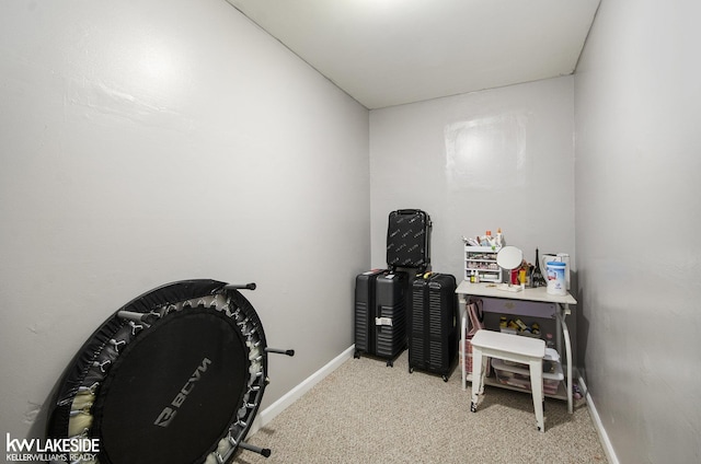miscellaneous room featuring baseboards and carpet flooring