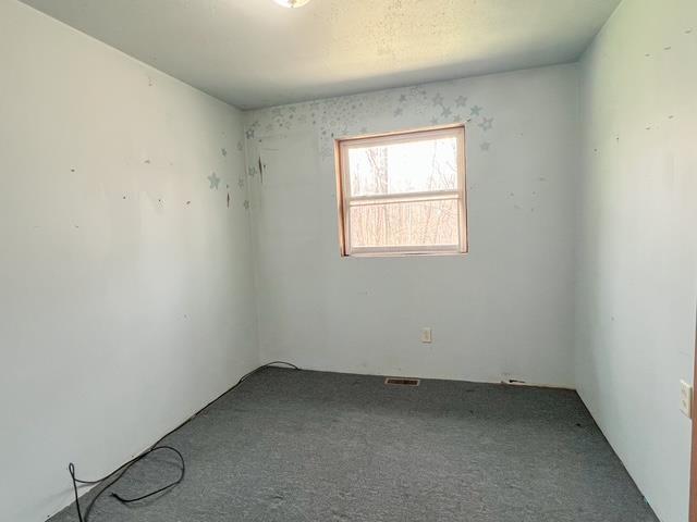 1300 Birch Rd, Harrison, MI 48625 - carpeted spare room with visible vents
