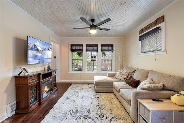 living room featuring dark wood-style floors, ceiling fan, visible vents, and ornamental molding