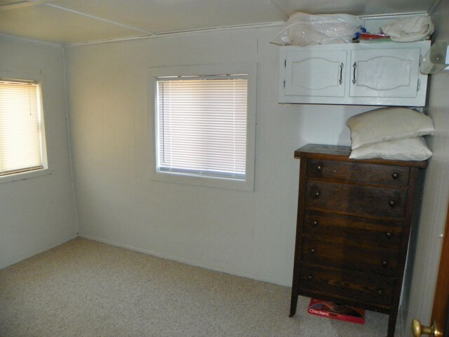 bedroom with multiple windows and carpet flooring