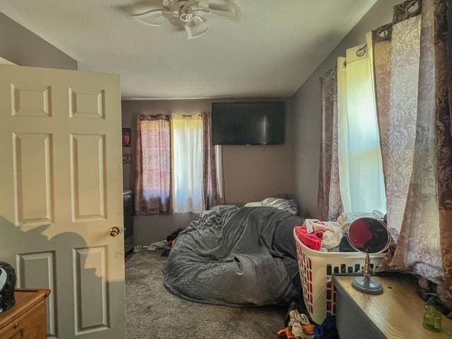 bedroom with carpet floors, ceiling fan, and a textured ceiling
