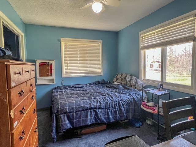 carpeted bedroom featuring a ceiling fan