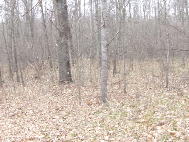 880 Judy Trl, Harrison, MI 48625