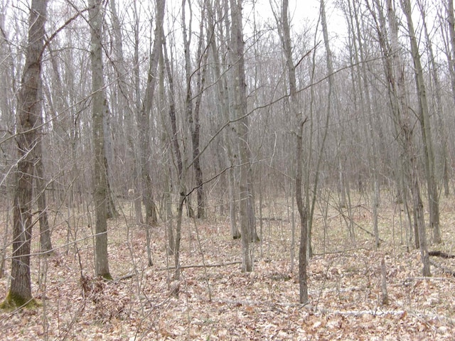 880 Judy Trl, Harrison, MI 48625